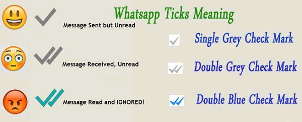 Different Ticks on WhatsApp