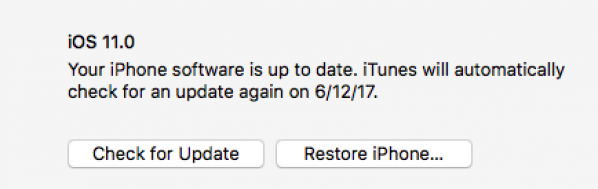 Downgrade iOS 11 via iTunes