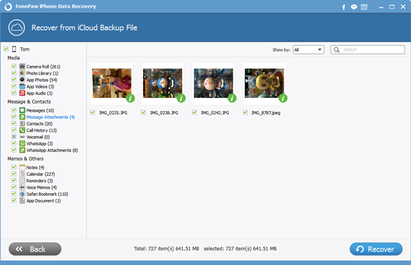 Preview and Recover iCloud