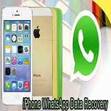 Back up and Restore WhatsApp Messages