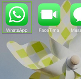 Export WhatsApp Messages via Email on iPhone