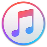 iTunes Junk