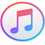 iTunes Library Management