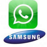 Recover Samsung WhatsApp